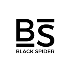 Black spider