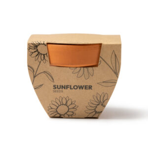 Vaso in terracotta con semi di girasole e fondo incluso, prodotto nell'UE