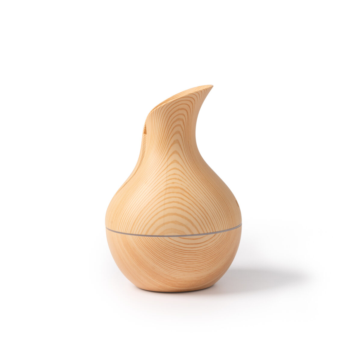 Tulip