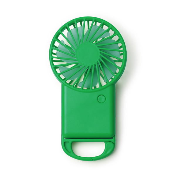 Verde felce