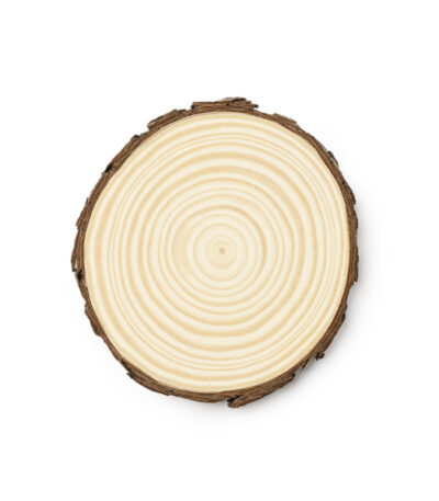 Pinea