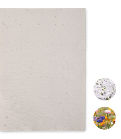 Foglio a4 in carta con semi