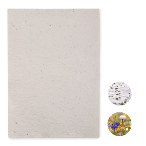 Foglio a4 in carta con semi