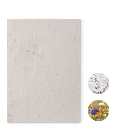 Foglio a5 in carta con semi