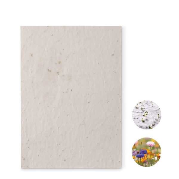 Foglio a5 in carta con semi