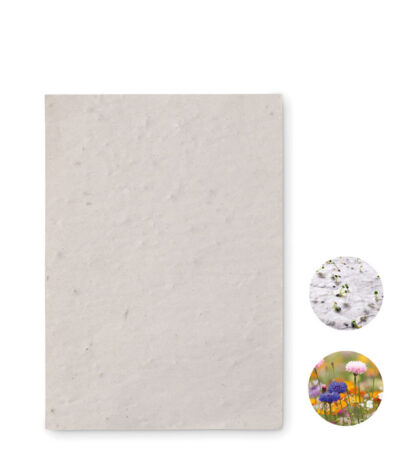 Foglio a6 in carta con semi