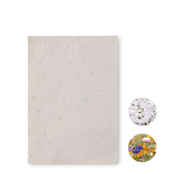 Foglio a6 in carta con semi