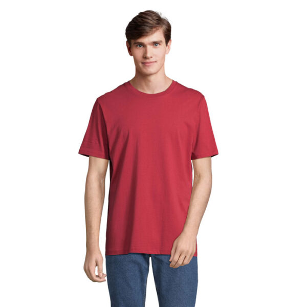 Folk red twin
